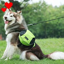 【飛炫戶外】軟皮內襯寵物項圈 M/L/XL 狗狗項圈 多色狗鏈 寵物項圈套 泡棉內襯 寵物項圈 泰迪脖子圈 狗鍊頸圈 歷史價格詳細信息