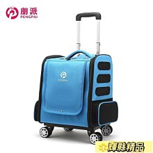 現貨 寵物外出雙肩包透氣泰迪比熊狗狗貓咪便攜貓包大容量兩只大號背包-可開發票 歷史價格詳細信息