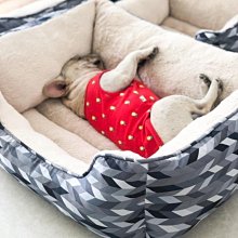 下殺 寵物墊狗墊子秋冬款狗狗冬季窩墊貓咪寵物四季通用睡墊毯子睡覺的地墊厚 歷史價格詳細信息