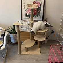 通天柱貓爬架貓窩貓樹一體太空艙貓屋不占地實木跳臺貓咪玩具架子 歷史價格詳細信息