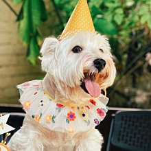 可愛花朵柴犬刺繡貼書包ipad帽子diy裝飾貼企鵝衣服補丁貼自粘貼【心願便利店】 歷史價格詳細信息