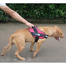 寵物胸背帶不勒脖反光透氣舒適狗背心中小型犬可調節胸背帶有牽繩 歷史價格詳細信息