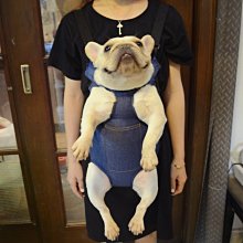 外出購物超輕便折疊寵物車中小型犬手推車子四輪萬向玩具狗車雨罩 歷史價格詳細信息