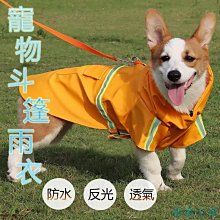 【熱賣精選】新款 寵物吹風梳 熱風梳一鍵除毛2合1狗狗貓咪吹干梳理電吹風 歷史價格詳細信息