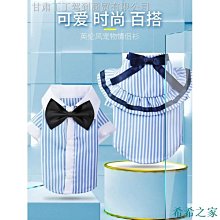 熱賣 衣服 狗衣服 服裝春夏新款 泰迪熊海豚體恤新品 促銷 歷史價格詳細信息