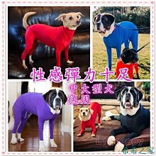 十月新款—秋冬必買仿兔毛保暖漁夫帽 盆帽 水桶帽 時尚 穿搭 絨毛 造型帽 可愛動物乳牛紋 歷史價格詳細信息