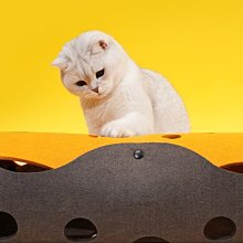 龍貓~療癒豆豆龍 Totoro 先染布手提肩背包 手拿包 歷史價格詳細信息