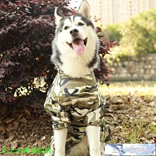 狗狗雨衣 全包 金毛 中大型犬 小狗雨披 四腳連身 防水雨衣 寵物用品 歷史價格詳細信息