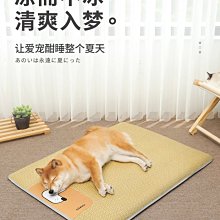 涼席地墊睡覺榻榻米午睡家用臥室冰藤席子防滑冰絲席打地鋪墊床墊 歷史價格詳細信息