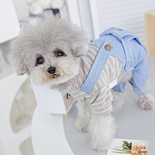 熊天平 雪候鳥 裸片+殼 歷史價格詳細信息