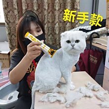 寵物用品 狗狗猫咪洗澡手套 大小型犬搓澡的手套 廚房矽膠洗碗手套 家務清潔手套 歷史價格詳細信息