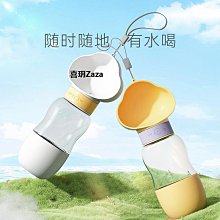 水壺 水杯  水杯女大號超大容量耐高溫水壺塑料水瓶吸管便攜防摔雙飲太空杯子    全臺最 歷史價格詳細信息