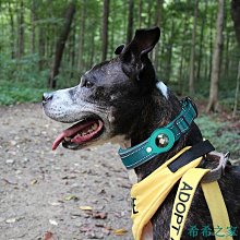 新款定位追蹤器rfid防盜刷金屬卡苞卡夾內置aitag卡苞鋁合 歷史價格詳細信息