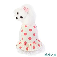 熱賣促銷新品促銷~毛絨玩具星黛露兔子可愛玩偶大號娃娃大抱枕女生禮物畢業情人節 歷史價格詳細信息