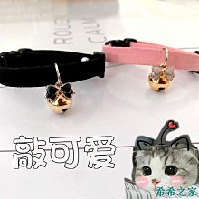 【熱賣】咪餵食器自動飲水餵食器大容量飲水機乾濕分離盆碗碗 歷史價格詳細信息