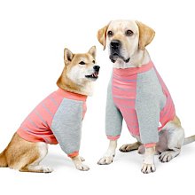 金毛獵犬護肘關節兩腳衣哈士奇T恤背心四季可穿 MOLI 大狗衣服 3XL6XL純棉透氣簡約設計中大型犬護肘衣 歷史價格詳細信息