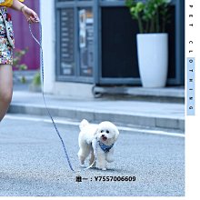 博美狗狗嘴套防咬防叫防亂吃小型犬嘴巴套狗口罩防咬人神器止吠器 歷史價格詳細信息