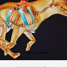 狗狗牽引繩Y型胸背帶背心式寵物遛狗繩中小型柴犬犬法斗柯基脖圈 歷史價格詳細信息