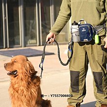 寵物狗狗牽引繩/帶 訓練專用加長狗繩子5米/10米 加長遛狗繩 包郵 歷史價格詳細信息