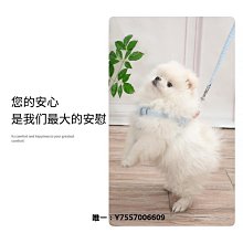 狗牽引繩小型犬背心式遛狗繩胸背帶泰迪柯基博美比熊狗鏈子遛貓繩 歷史價格詳細信息