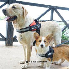 寵物牽引繩 中大型犬防爆沖胸背帶 狗狗胸背帶小型犬背心式狗繩 遛狗用品 金毛專用狗鏈子大型犬牽引繩 狗鏈子寵物遛狗繩 全店滿400元發貨 小琦琦の店 歷史價格詳細信息