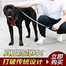 寵物遛狗牽引繩狗狗牽引繩小型犬背心式小狗網紅牽引繩寵物狗用品牽引繩 歷史價格詳細信息