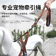 寵物牽引繩 狗狗牽引繩帶燈自動伸縮小型中型犬博美柯基狗鏈遛狗繩子寵物用品 歷史價格詳細信息