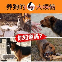 狗狗嘴套防咬防叫防亂吃中小型犬柯基柴犬泰迪口罩止吠器寵物用品 歷史價格詳細信息