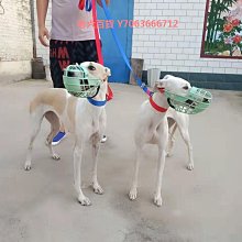 細狗帆布牽引脖套一體繩惠比特犬遛狗繩格惠格力犬牽引繩一拉緊新~爆款 優惠價 歷史價格詳細信息