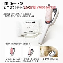 精品寵物梳子貓咪狗狗梳毛專用泰迪金毛狗毛針梳毛刷貓去浮毛神器用品 歷史價格詳細信息