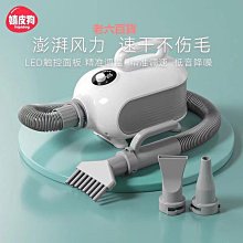 寵吹風機家用大功率藍光負離子護髮理髮店冷熱風筒小電吹風筒 歷史價格詳細信息