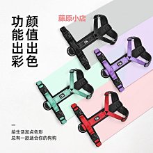 遛狗繩【精品】p鏈p繩狗狗牽引繩遛狗鏈子小中大型犬訓犬防爆沖打結毛 免運 歷史價格詳細信息