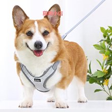 寵物寵物狗狗背心式胸背帶牽引繩可調節大中小型犬胸背帶貓繩寵物用品牽引繩 歷史價格詳細信息