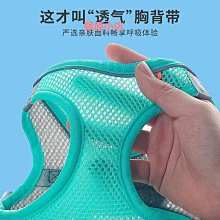 泰迪狗牽引繩狗貓繩子狗項圈遛狗鏈子貓繩中小型胸背帶貓狗日用品~爆款 優惠價 歷史價格詳細信息