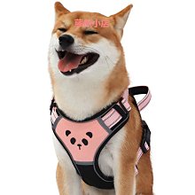 精品拉布拉多狗狗專用嘴套防誤食防亂吃叫咬人可喝水護嘴罩小中大型犬 歷史價格詳細信息