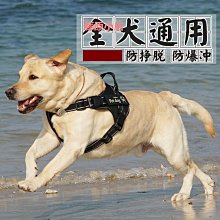 寵物牽引繩 中大型犬防爆沖胸背帶 狗狗胸背帶小型犬背心式狗繩 遛狗用品 金毛專用狗鏈子大型犬牽引繩 狗鏈子寵物遛狗繩 全店滿400元發貨 小琦琦の店 歷史價格詳細信息