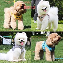 比熊狗狗牽引繩可愛遛狗鏈子小型犬寵物胸背帶泰迪博美小狗牽狗繩 歷史價格詳細信息