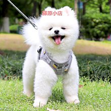 狗狗牽引繩狗繩鏈中小型犬泰迪博美自動伸縮柯基遛狗寵物用品 歷史價格詳細信息