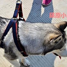 遛狗繩【精品】p鏈p繩狗狗牽引繩遛狗鏈子小中大型犬訓犬防爆沖打結毛 免運 歷史價格詳細信息