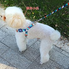 遛狗繩【精品】p鏈p繩狗狗牽引繩遛狗鏈子小中大型犬訓犬防爆沖打結毛 免運 歷史價格詳細信息