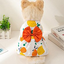 夏季薄款狗狗寵物衣服雪納瑞馬爾濟斯小型犬比熊泰迪貓咪衣服可愛 歷史價格詳細信息