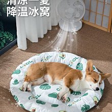 寵物夏季降溫鋁板 犬貓降溫鋁板 兔子降溫 倉鼠龍猫散熱板 夏天消暑用品 散熱鋁板 寵物降溫鋁板 鋁板 歷史價格詳細信息