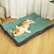 寵物用品寵物免洗手套貓咪狗狗除臭濕紙巾濕巾專用免洗澡干洗神器清潔用品 歷史價格詳細信息