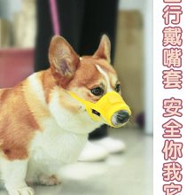 柯基專用狗狗斗篷反光雨衣寵物小型犬雨天防水雨披中型犬遛狗衣服 歷史價格詳細信息