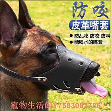 狗嘴套防咬人狗防叫狗口罩小大型犬寵物止吠器泰迪金毛防亂吃嘴罩 歷史價格詳細信息