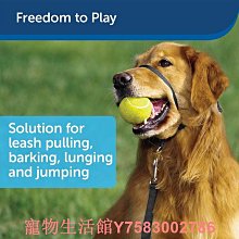 寵物卡斯羅防爆沖牽引繩狗狗彈力牽引繩杜賓高獵犬伸縮鏈子寵物回彈繩牽引繩 歷史價格詳細信息