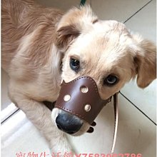狗嘴套防咬人狗防叫狗口罩小大型犬寵物止吠器泰迪金毛防亂吃嘴罩 歷史價格詳細信息