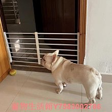 寵物圍欄寵物門狗狗室內狗籠子中小型犬貓可折疊圍欄門柵欄檔板【優選百貨】 歷史價格詳細信息