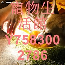 寵物出門騎車背帶 貓袋 便攜外出遛貓咪斜跨胸前背包 寵物斜挎包 出街狗狗包 歷史價格詳細信息
