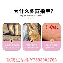 寵物不銹鋼密齒狗狗面梳跳蚤梳按摩狗狗去跳蚤去浮毛梳子 歷史價格詳細信息